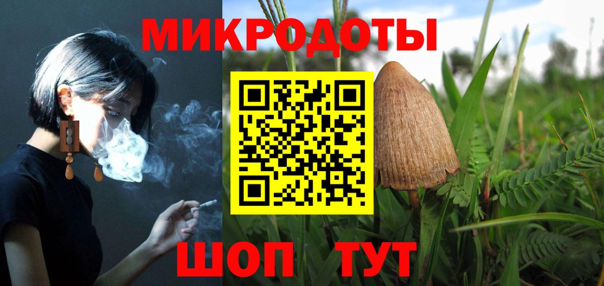 Фролово  Псилоцибиновые грибы Psilocybe  Вход с VPN  Галлюциногенные грибы ЛСД 