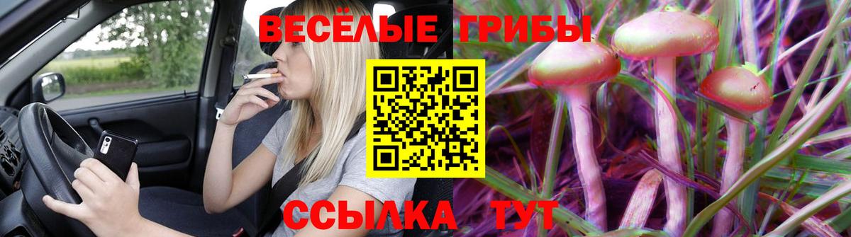 Псилоцибиновые грибы мицелий Фролово